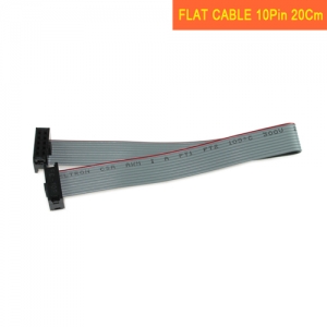 Flat Cable Assy 10P-20cm