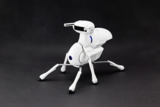 ROB0140 Antbo DIY Robot Kit - The Best Robot for Kids